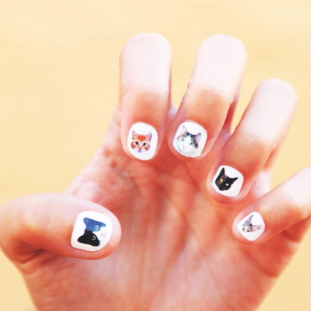 CAT PARADE (Pack de 2)