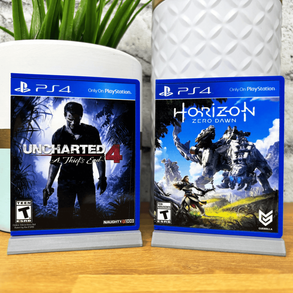 PS4 Display Art (XXL)