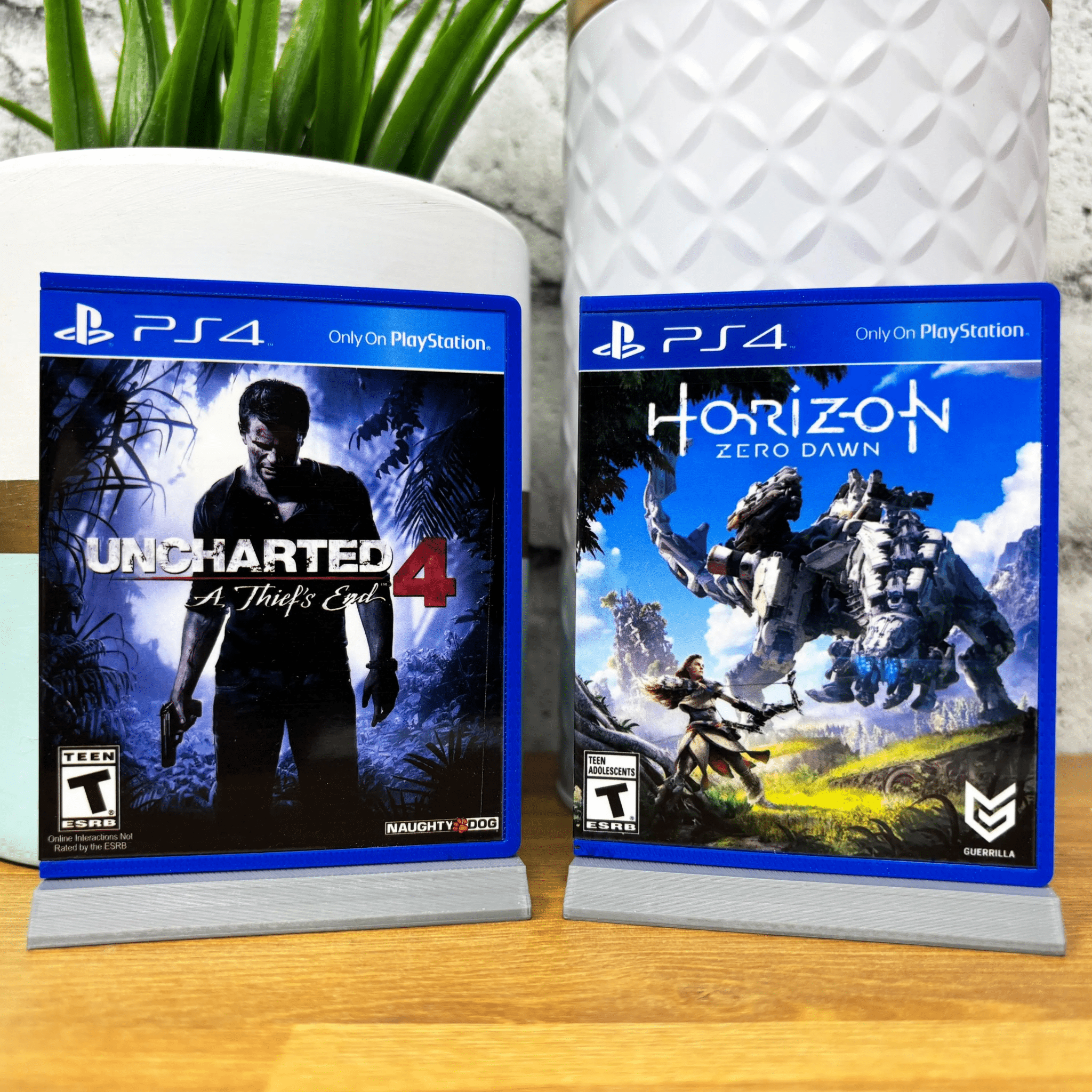 PS4 Display Art (XXL)